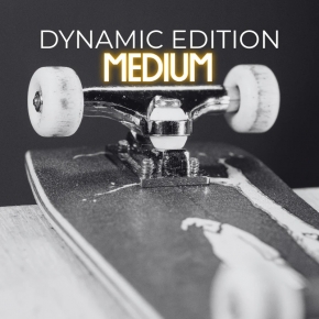 SOUTHSOFT PRO BUSHINGS DYNAMICS EDITION - MEDIUM