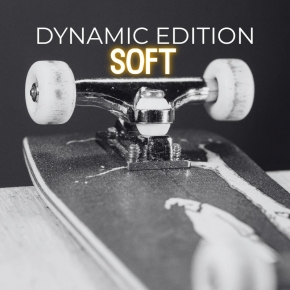SOUTHSOFT PRO BUSHINGS DYNAMICS EDITION - SOFT